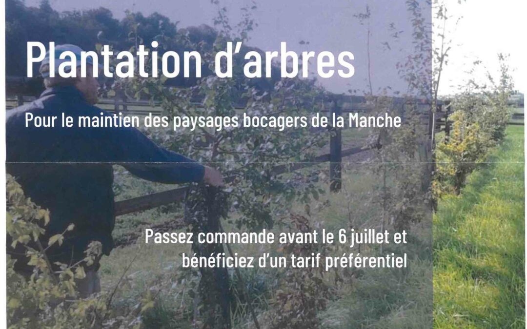 Commande groupée d’arbres et arbustes avant le 6 Juillet