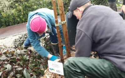 OPÉRATION « UNE NAISSANCE,UN ARBRE  » – LE 23 MARS À 11H