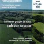 plantation-arbre-geffosses-2026