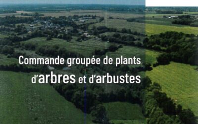 Commande groupée de plants d&rsquo;arbres et d&rsquo;arbustes AVANT le 15 juillet 2026